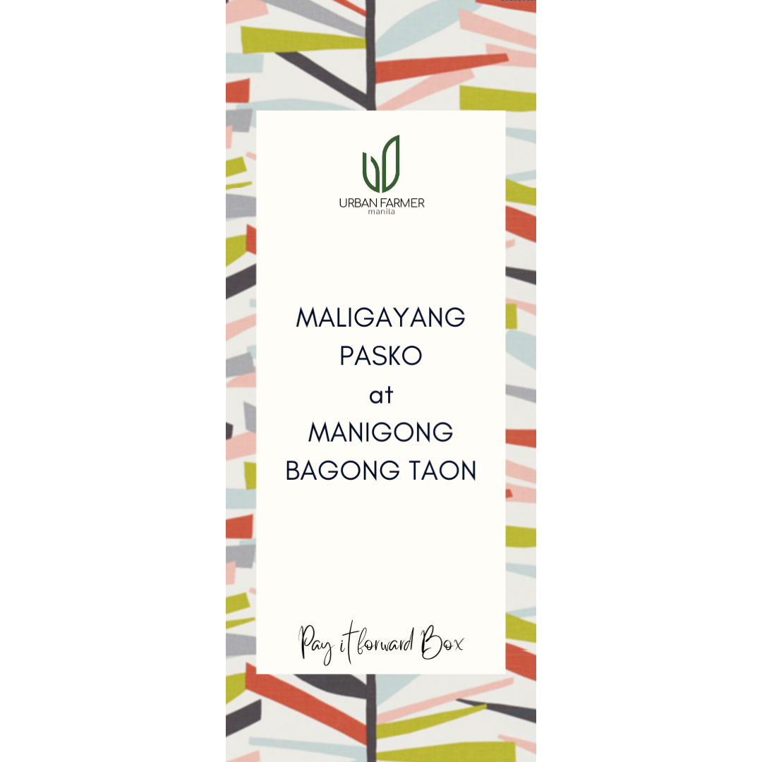 Maligayang Pasko at Manigong Bagong Taon 3.25x3.25x6.25/7