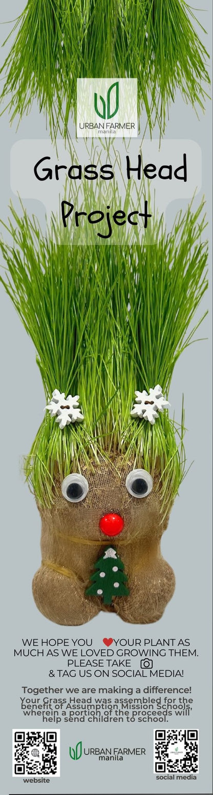 Grass Head Project Kit