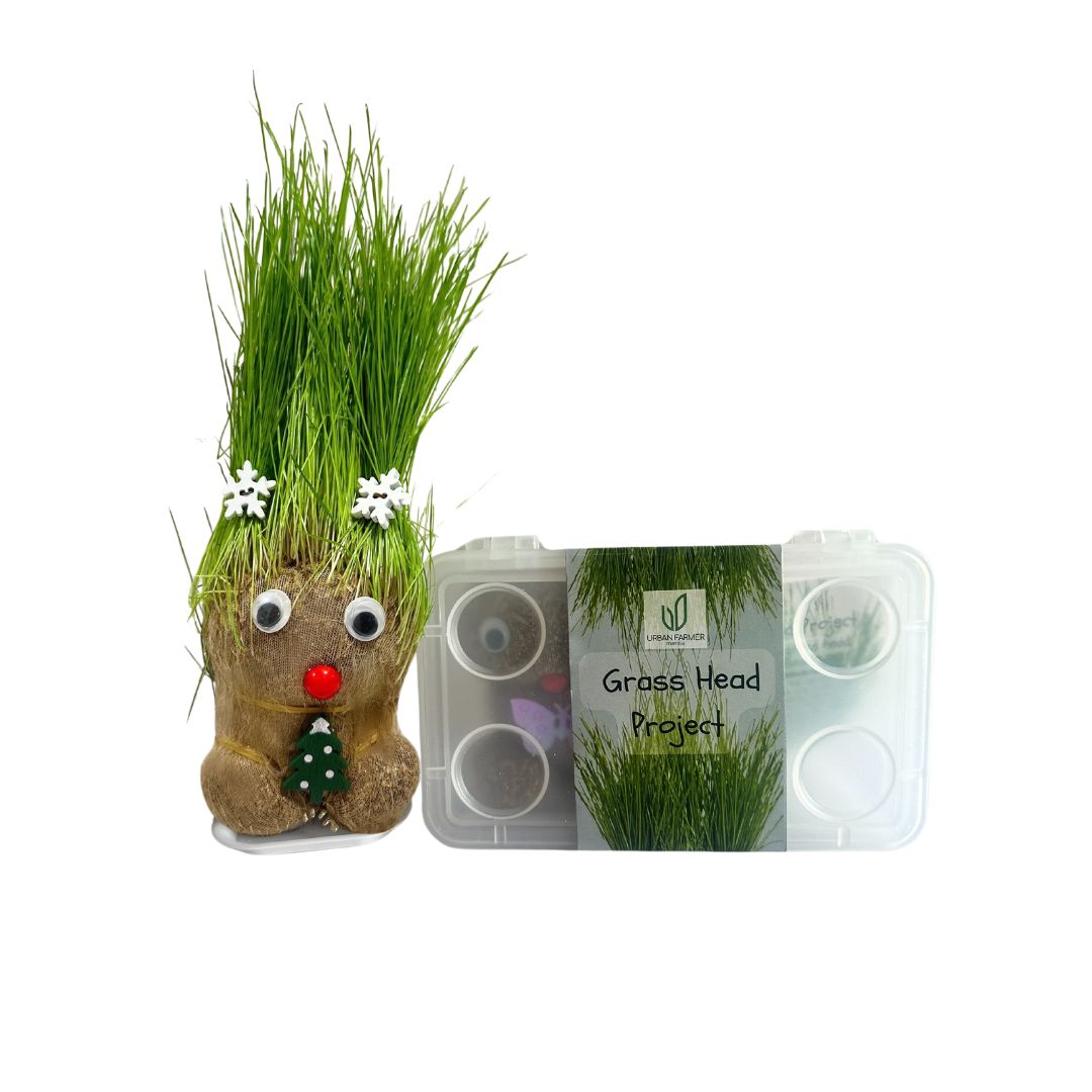 Grass Head Project Kit