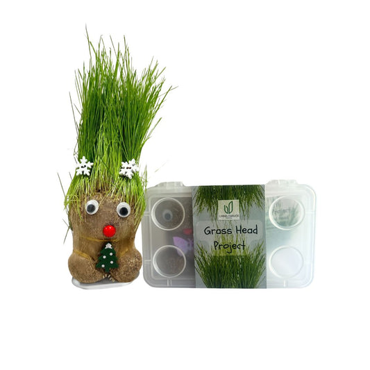 Grass Head Project Kit