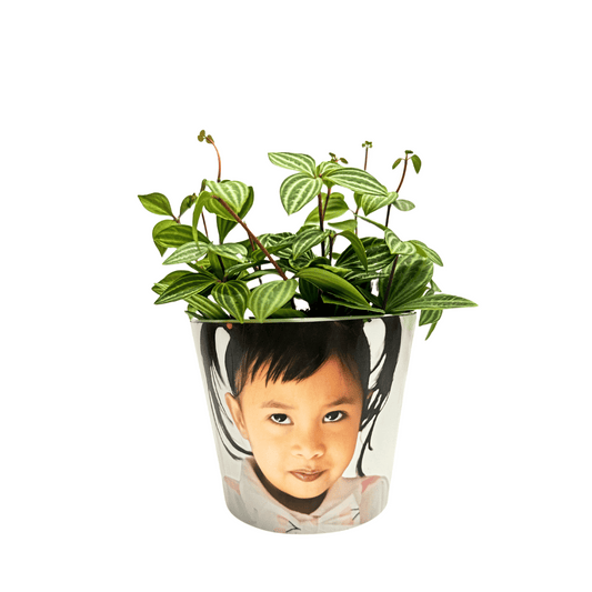 Parallel Peperomia Customized Small Pay It Forward Plant Pot