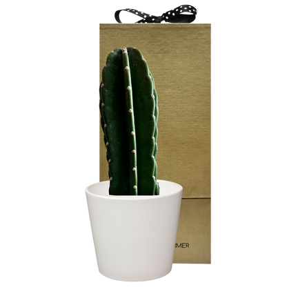 Pole Cactus