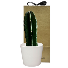 Pole Cactus