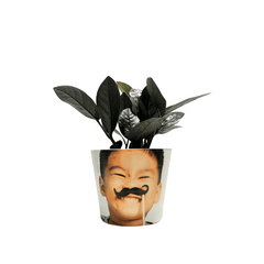 Raven ZZ Customized Small Pay It Forward Plant Pot